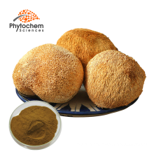 Free sample hericium erinaceus lions mane mushroom extract 1030 polysaccharides powder